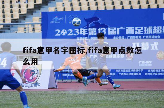 fifa意甲名字图标,fifa意甲点数怎么用