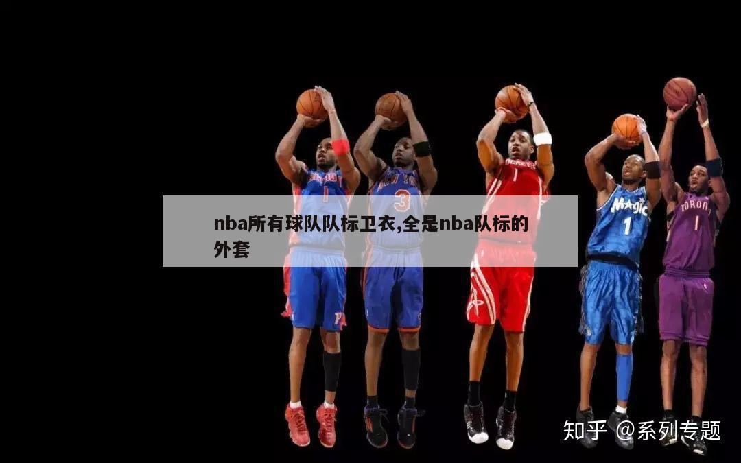 nba所有球队队标卫衣,全是nba队标的外套