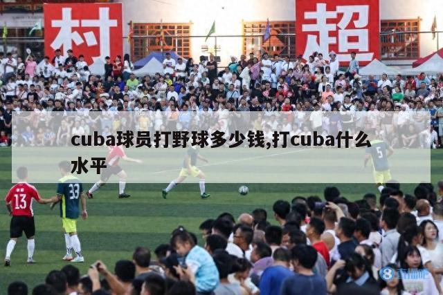 cuba球员打野球多少钱,打cuba什么水平