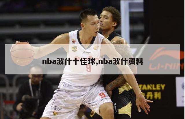 nba波什十佳球,nba波什资料